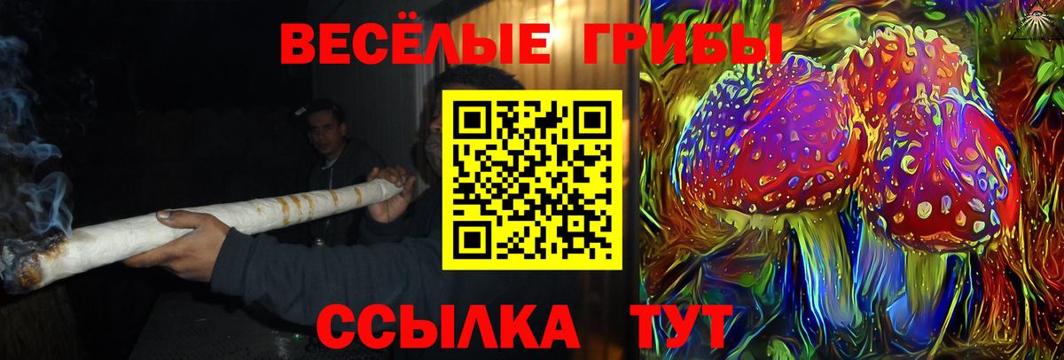 Галлюциногенные грибы Psilocybine cubensis  Вход с VPN  Кушва 